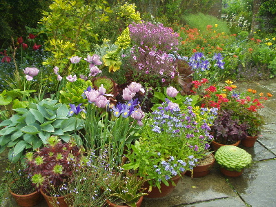 Blumen in Great Dixter