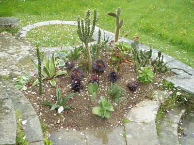 Great Dixter Blumen