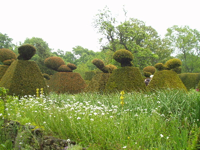 Great Dixter Topiary