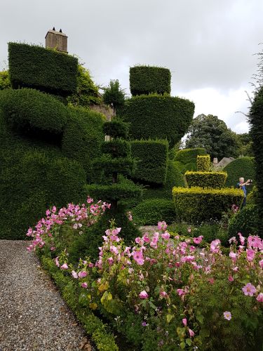 Topiary