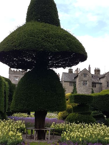 Topiary